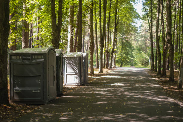 Best Sanitation services for porta potties  in Greenback, TN